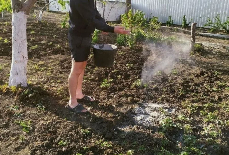 photo_2025-11-17_21-17-21 (3).jpg