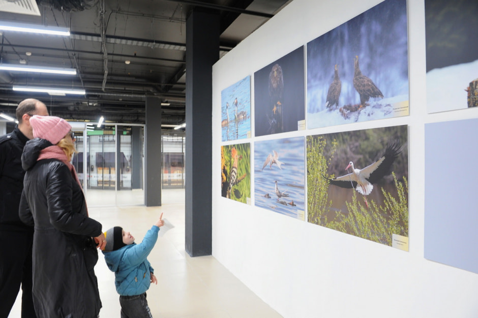 выставка Дикая природа Беларуси 2.JPG