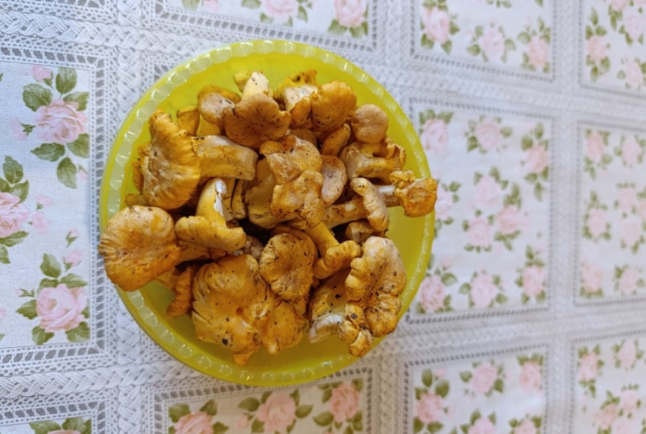 GG_I_j4pj0A.jpg GG_I_j4pj0A.jpg