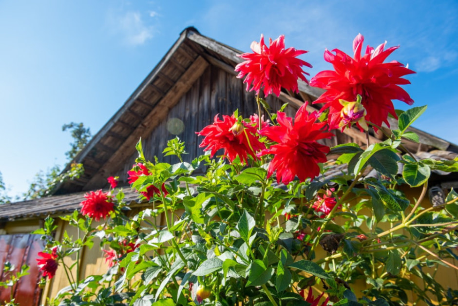 Парень ищет жену в деревне 3.jpg