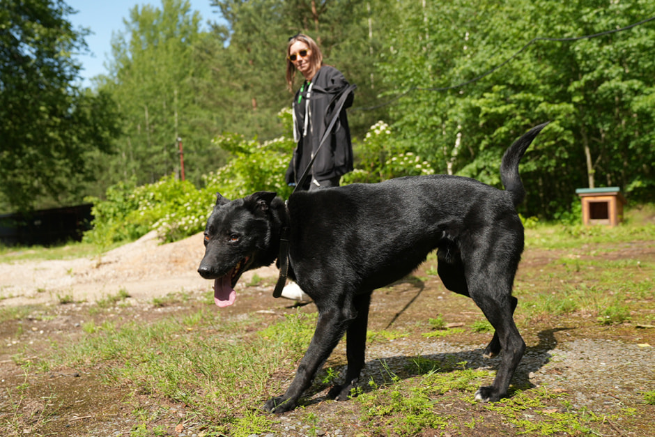 Приют Dalai Lapa