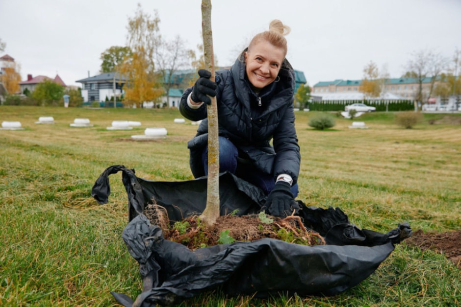 Возле Несвижского замка высадили новые аллеи на 200 деревьев.jpg