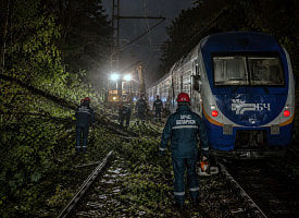 Ночная гроза остановила поезда: деревья рухнули прямо на ж/д пути в Беларуси