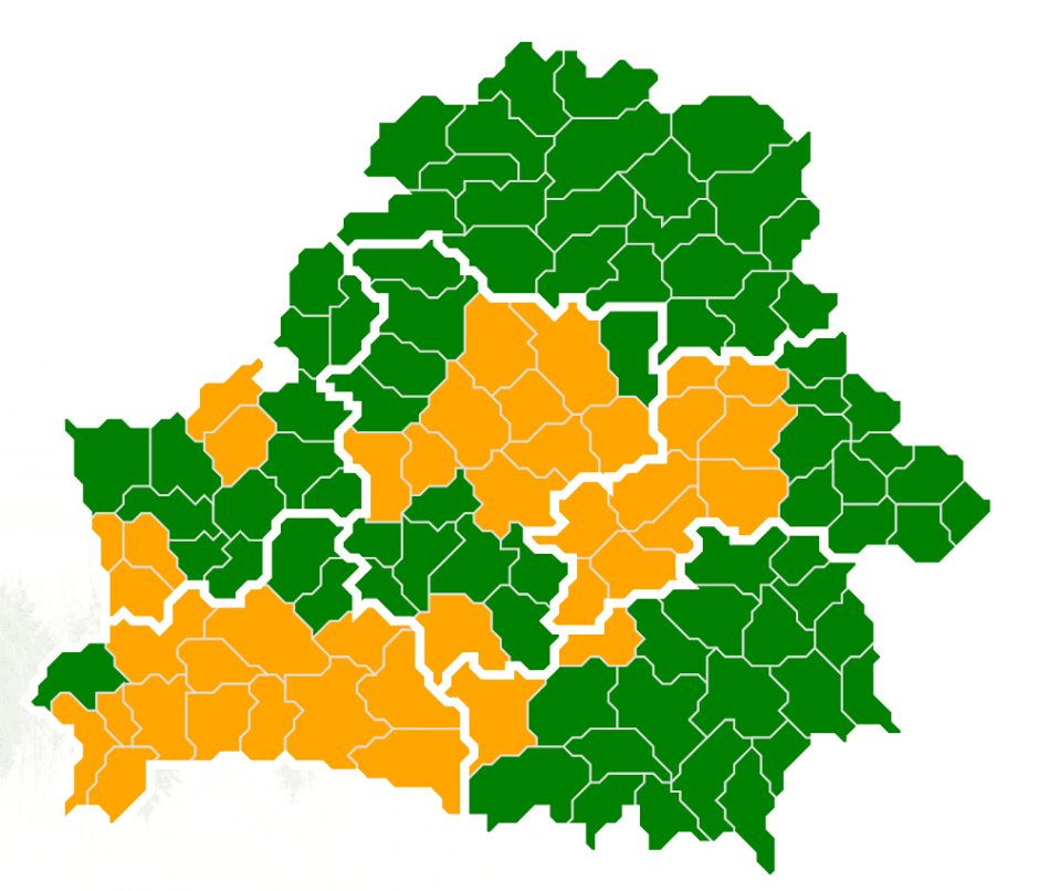 лес ограничения.png