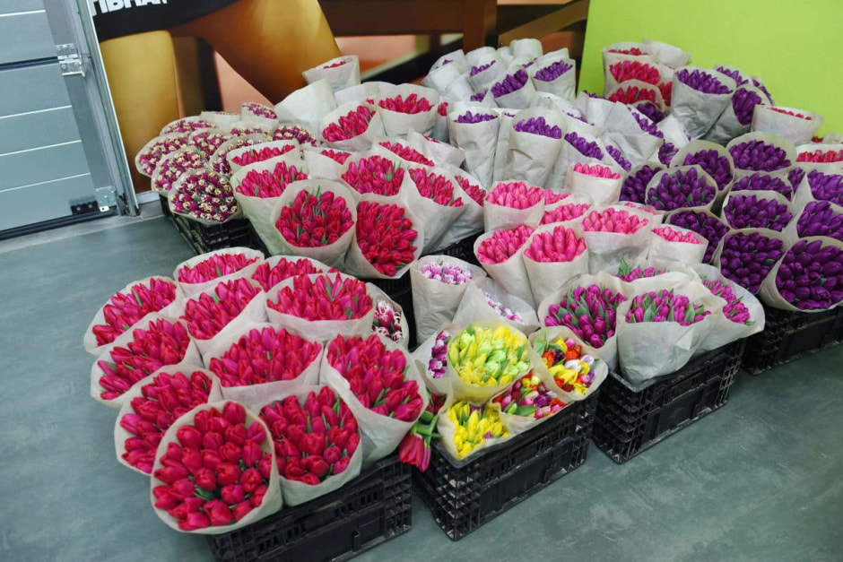Как на Полесье выращивают тюльпаны 34.jpg