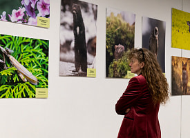 Долетает до Африки за 3 дня: продолжаем знакомство с работами фотовыставки “Дикая природа Беларуси 2025”