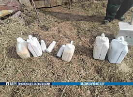 До 3 лет за решеткой: сельчанину из Новогрудского района грозит срок за покупку пестицидов