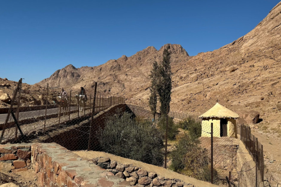 Отдых в Египте зимой 2024 21.jpg