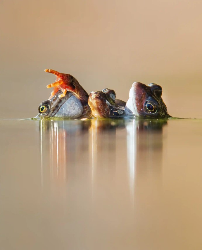 Фотоконкурс 8.jpg