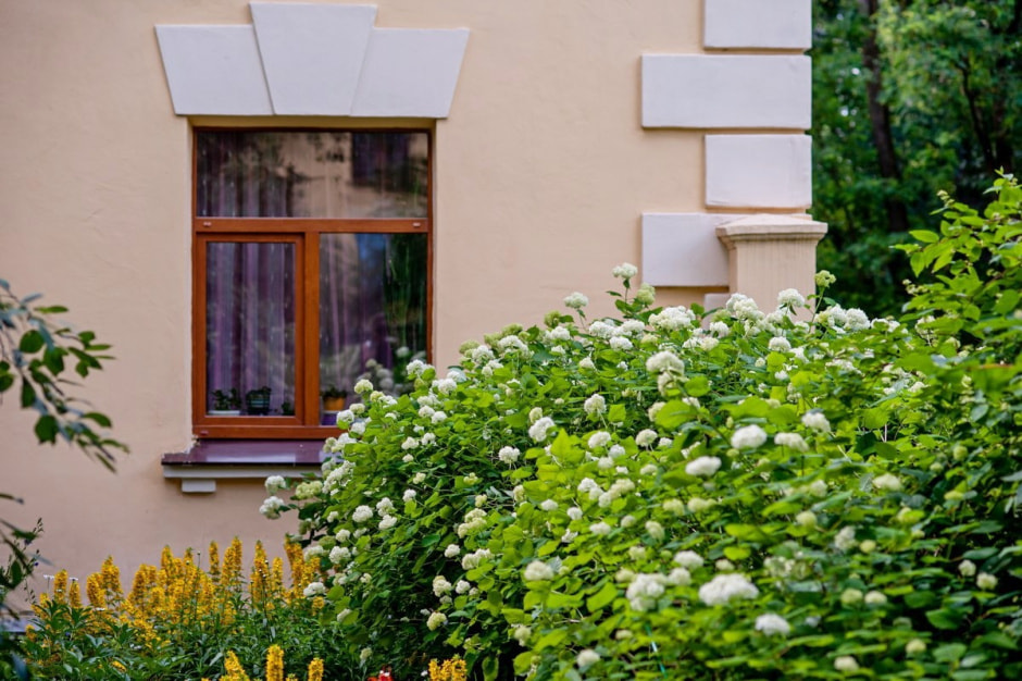 Репортаж из минской Осмоловки 17.jpg