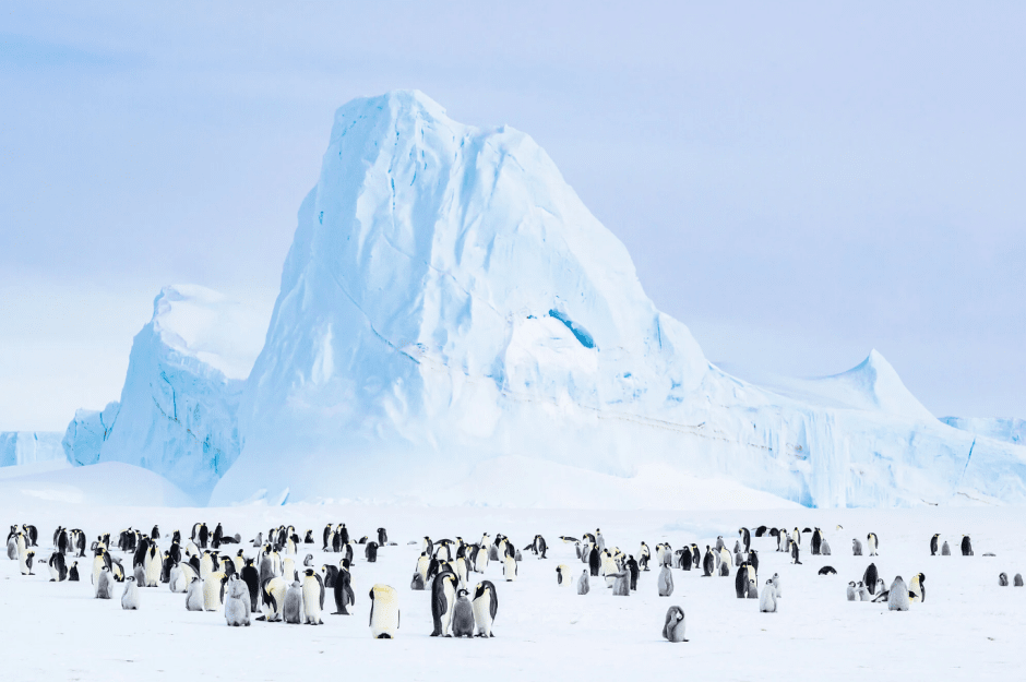 Страж, Антарктида, фото Стефан Кристманн