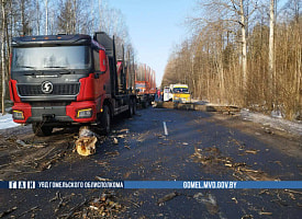 Мужчина убирал дерево с дороги, чтобы помочь другим, и погиб. Трагедия в Чечерском районе