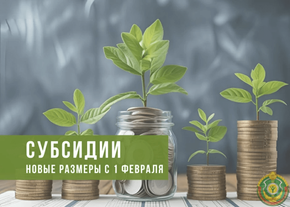 субсидии субсидии