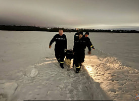 Под Могилевом ночью искали двух женщин: одна получила тяжелое обморожение