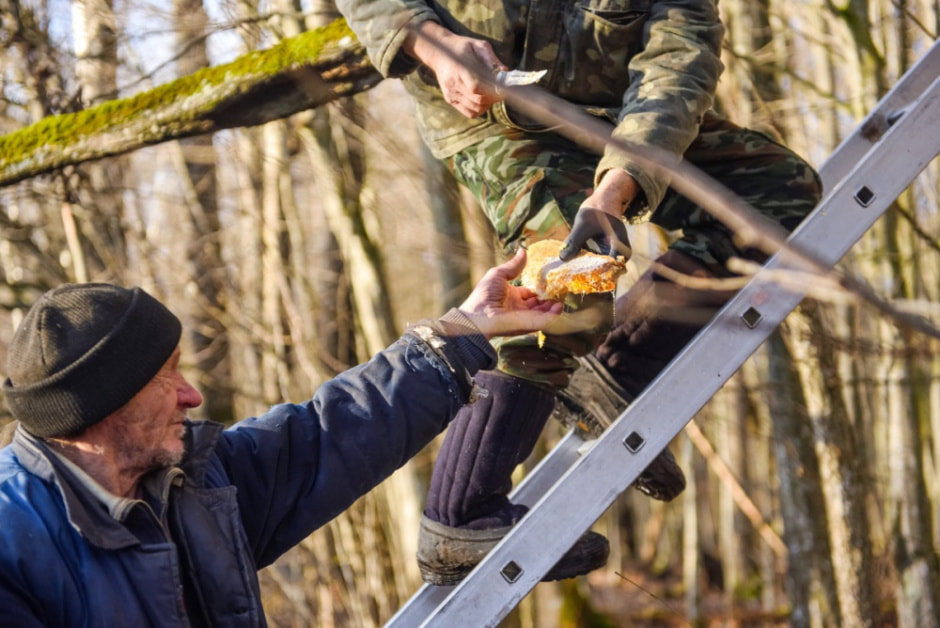 Как бортник спасает на Полесье черных пчел 26.jpg