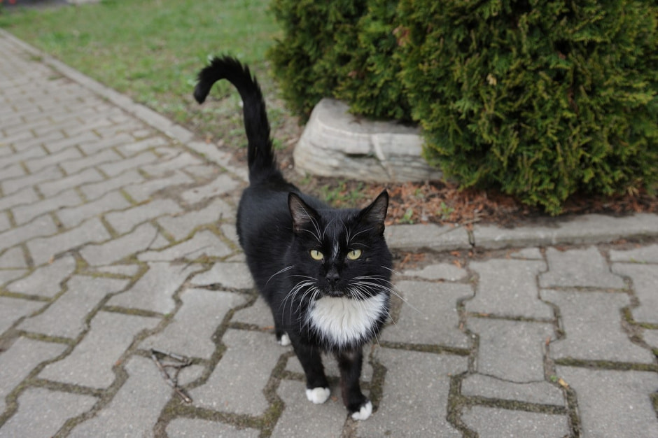 Профессиональная мама Инесса Лукашевич 10.jpg Профессиональная мама Инесса Лукашевич 10.jpg