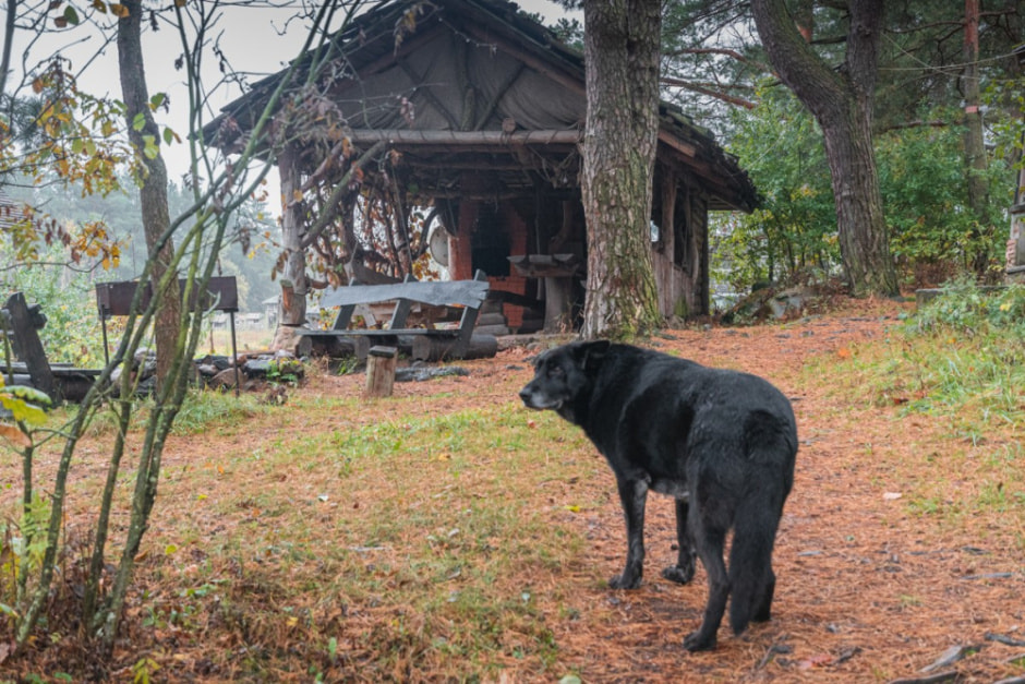 Минчанин переехал на остров в деревню 11.jpg