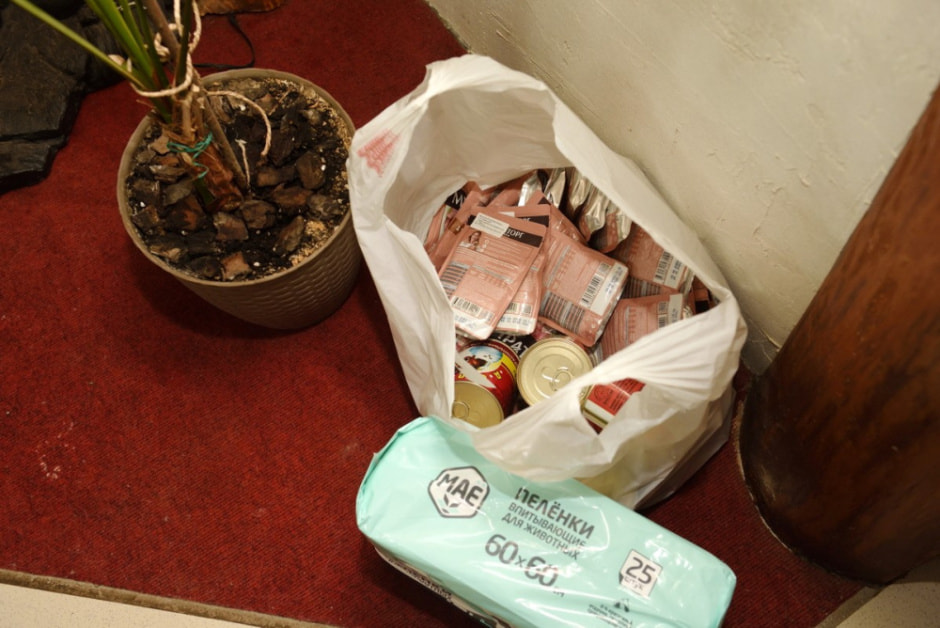 Зоогостиница 4 лапы 15.jpg