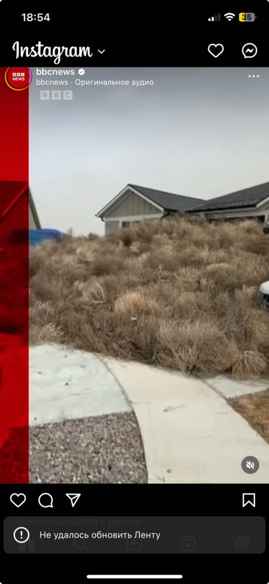 инст проблема.jpg