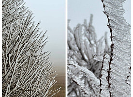 Ледяные туманы накрыли Минскую возвышенность — показываем, как это выглядит