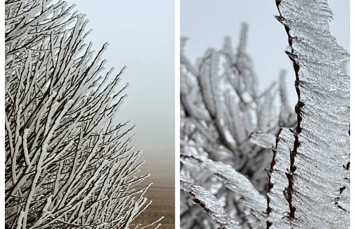 Ледяные туманы накрыли Минскую возвышенность — показываем, как это выглядит