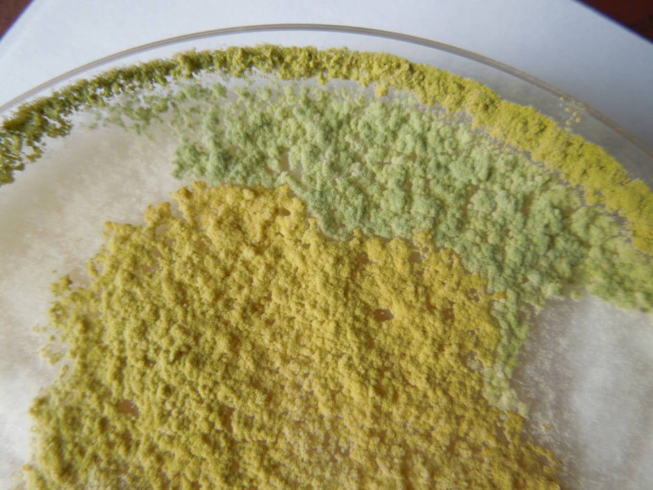 photo_2025-01-07_20-44-09 (4).jpg