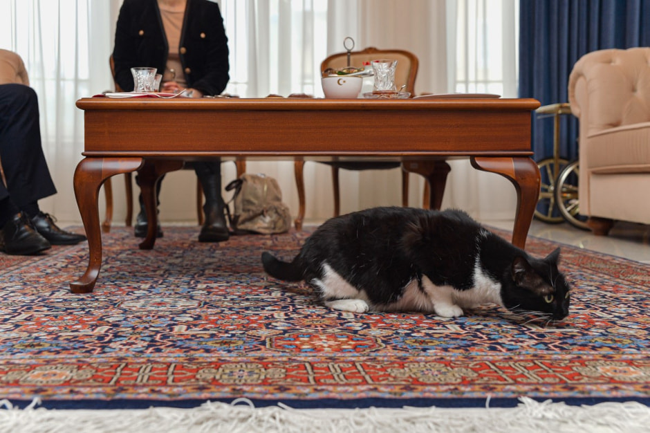 Посол Турции Мустафа Озджан 11.jpg