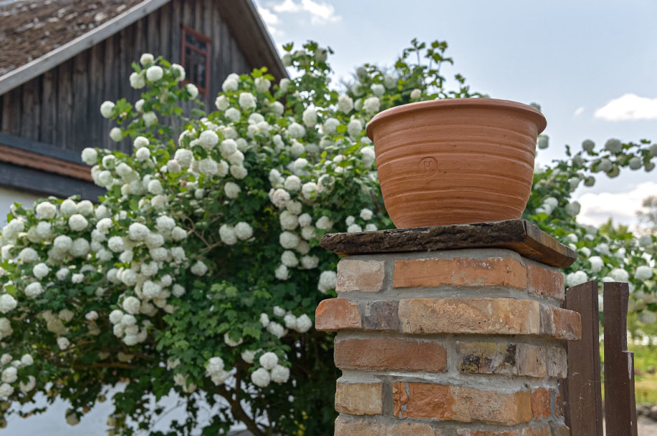 Гончар Сергей Нагаев 2.jpg Гончар Сергей Нагаев 2.jpg