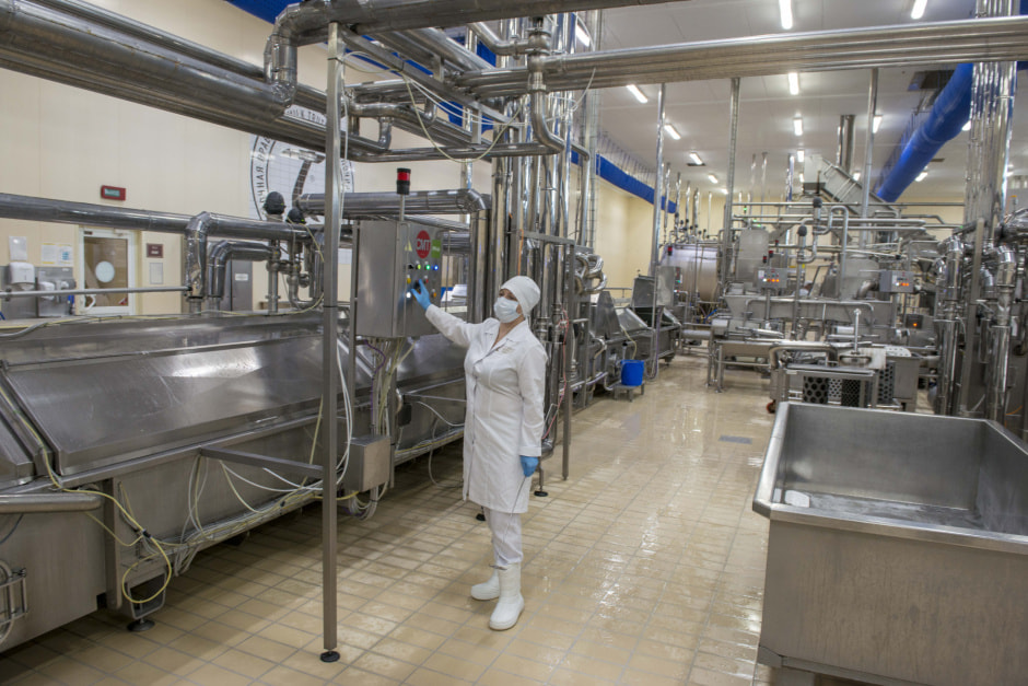 Как в Турове делают белорусскую моцареллу 1.jpg