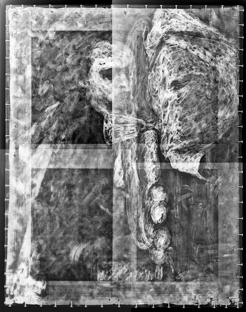Cezanne-Xray-for-label-1-808x1024.jpg