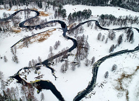 Сколько миллиардов долларов стоит вся земля Беларуси? Госкомимущество рассказало, почему она дорожает