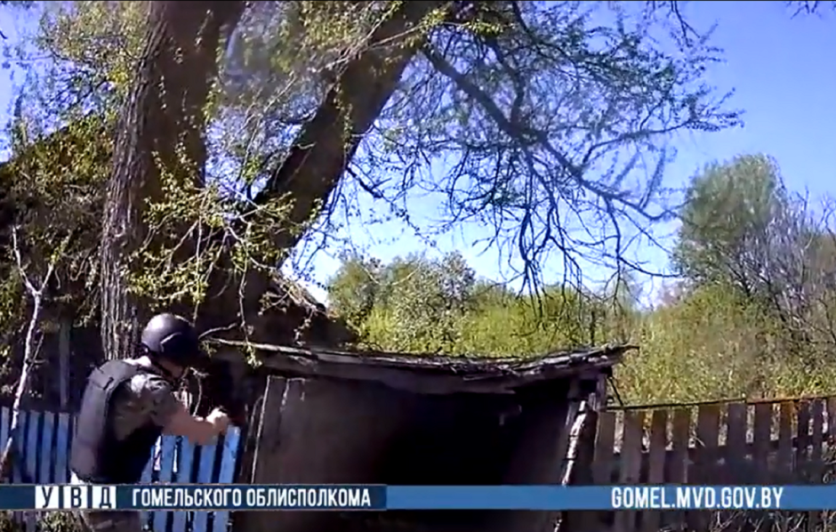 Выстрел в лису.png