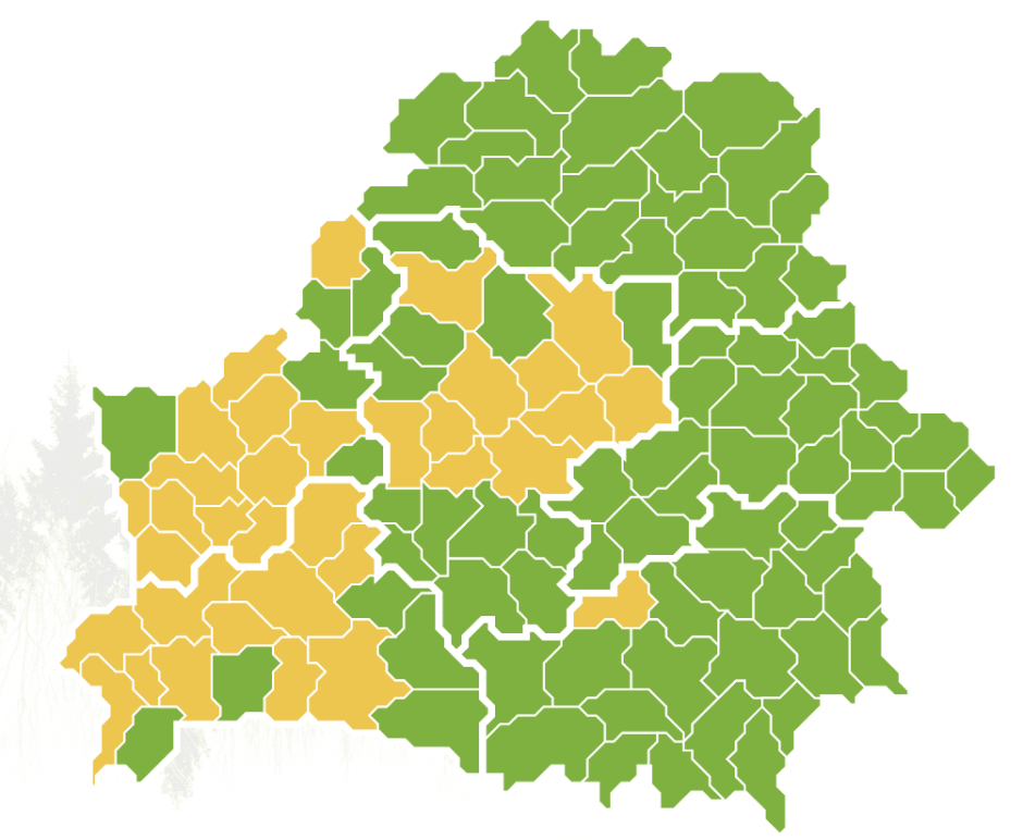 лес ограничения 22 марта.png