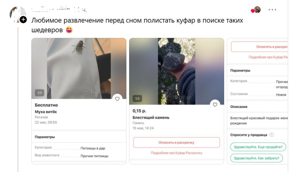 Копченое рыло, трусики б/у и усик кота: белорусы показали странные объявления с барахолок Копченое рыло, трусики б/у и усик кота: белорусы показали странные объявления с барахолок