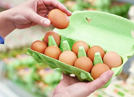 В белорусских яйцах обнаружили энрофлоксацин, а в говядине – кишечную палочку