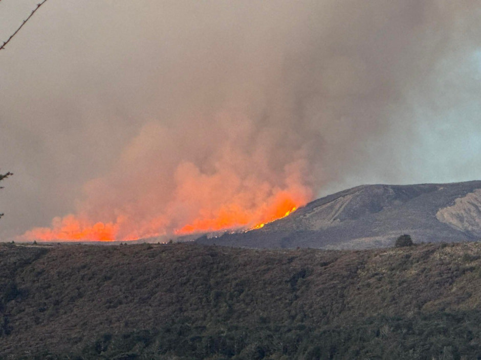 пожар в нацпарке.jpg