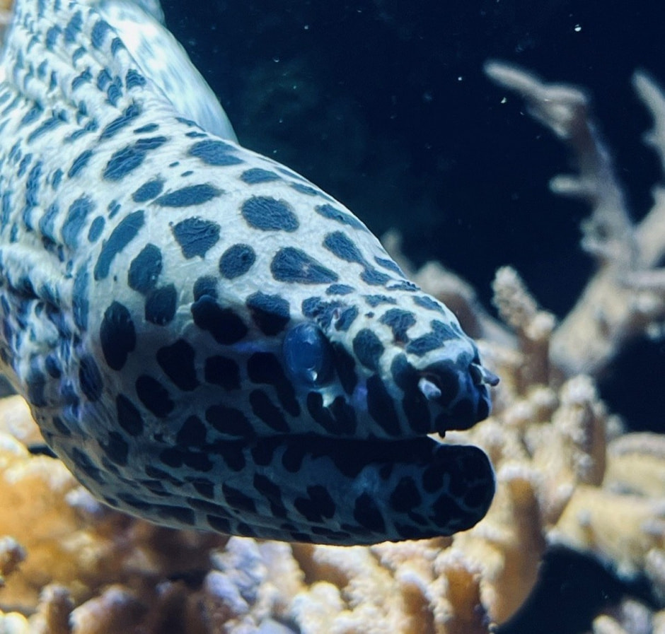 Берлинский зоопарк 19.jpg