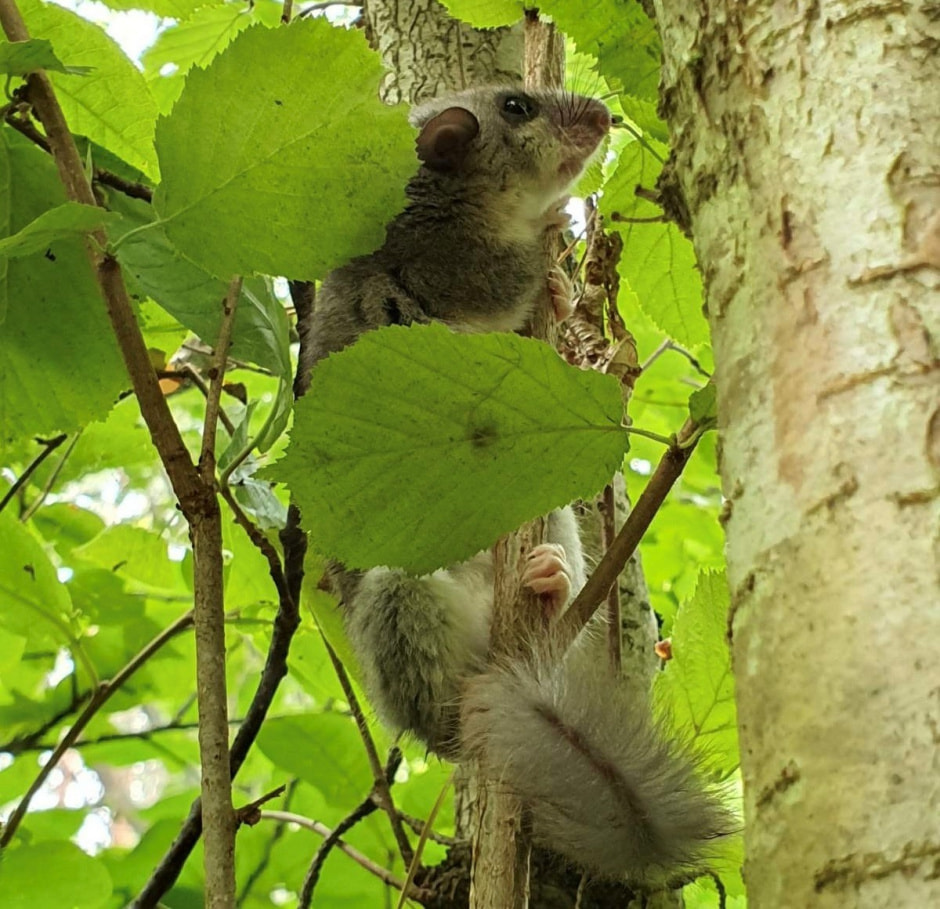 Экспедиция сони 9.jpg Экспедиция сони 9.jpg