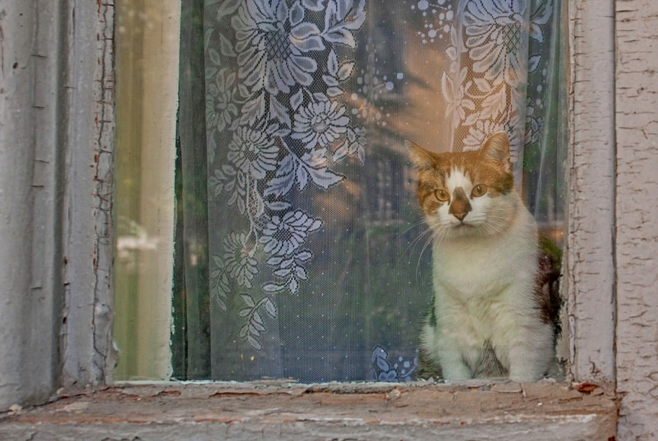 Репортаж из минской Осмоловки 4.jpg