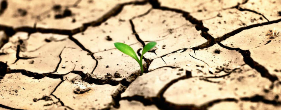 засуха.jpg