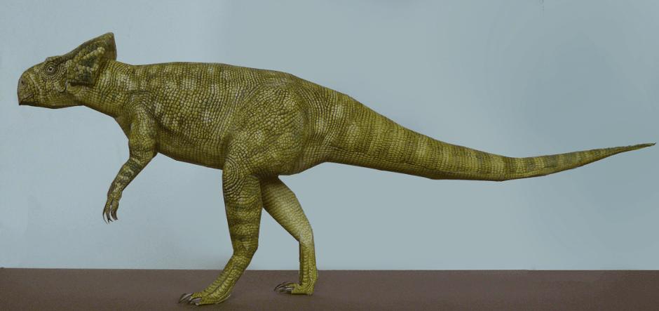 Микроцератопс