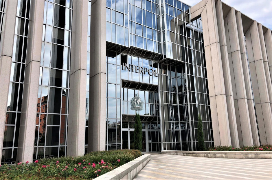 Интерпол.jpg
