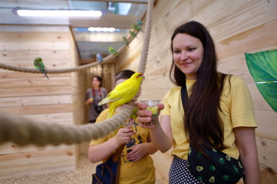 Попугайня в Витебске 17.jpg