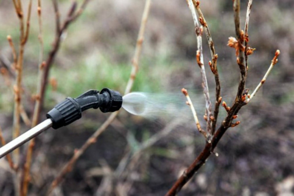 photo_2024-10-02_20-14-15 (3).jpg