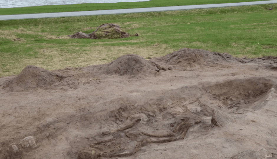 Захоронение женщины-викинга