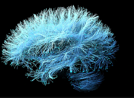 Новый стартап разрабатывает «чтение мыслей» с помощью ультразвука — что говорят ученые