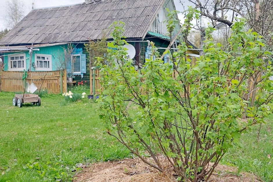 Семья Епиховых и их дача 13.jpg