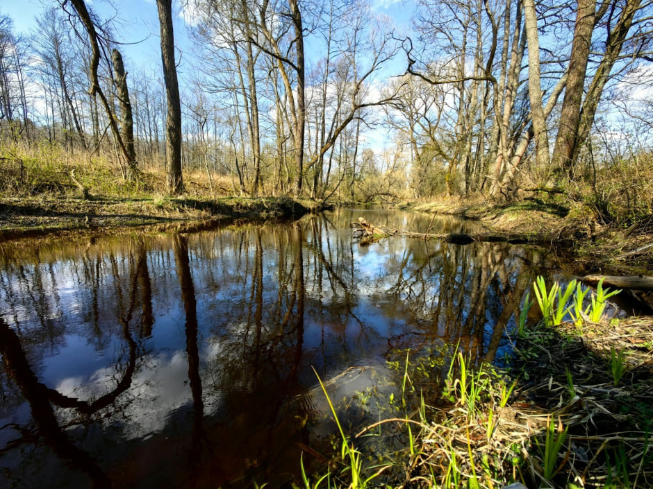 29-Сергучский канал.jpg