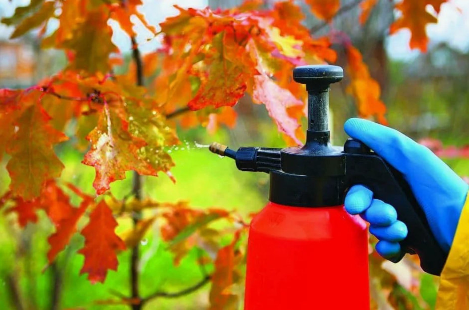 обработка сада2.JPG