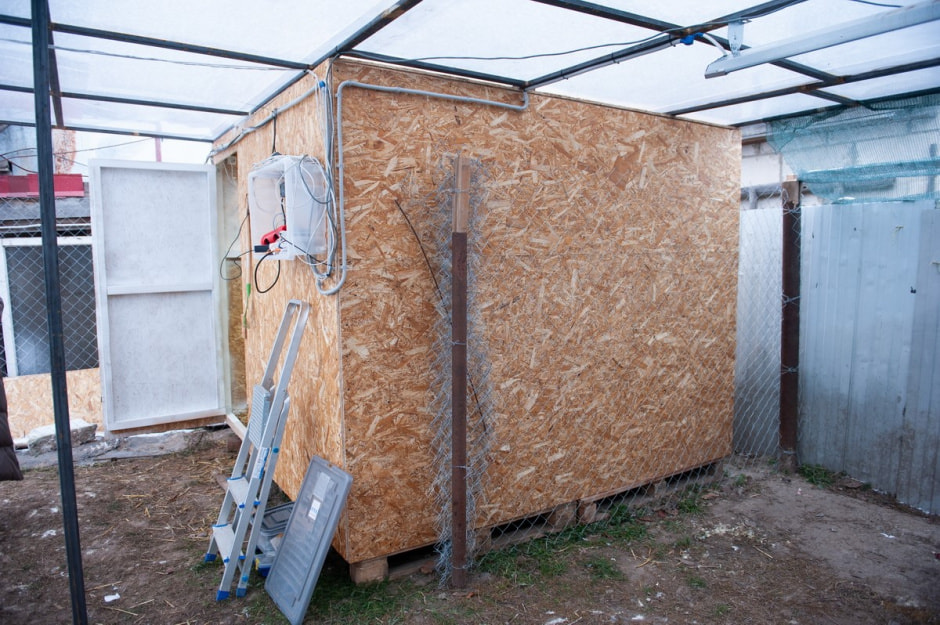 Мужчина спасает аистов 3.jpg